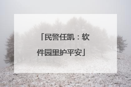民警任凯：软件园里护平安