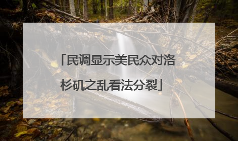 民调显示美民众对洛杉矶之乱看法分裂