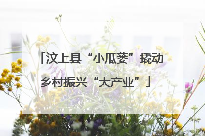 汶上县“小瓜蒌”撬动乡村振兴“大产业”