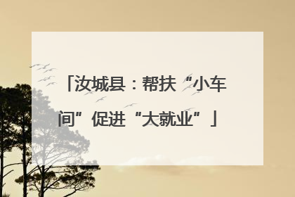 汝城县：帮扶“小车间”促进“大就业”