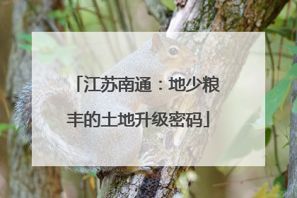 江苏南通：地少粮丰的土地升级密码