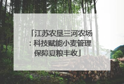 江苏农垦三河农场：科技赋能小麦管理保障夏粮丰收