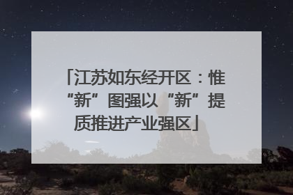 江苏如东经开区：惟“新”图强以“新”提质推进产业强区