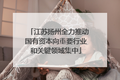 江苏扬州全力推动国有资本向重要行业和关键领域集中