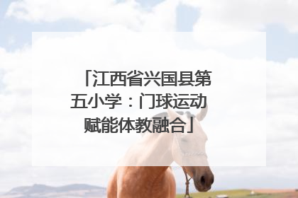 江西省兴国县第五小学：门球运动赋能体教融合