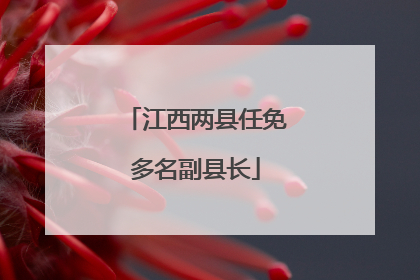 江西两县任免多名副县长
