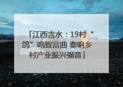 江西吉水：19村“鸽”鸣致富曲 奏响乡村产业振兴强音