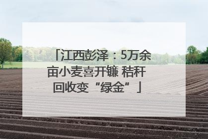 江西彭泽：5万余亩小麦喜开镰 秸秆回收变“绿金”