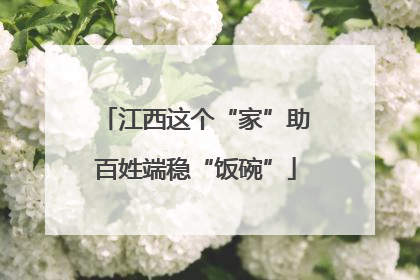 江西这个“家”助百姓端稳“饭碗”
