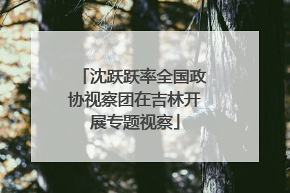 沈跃跃率全国政协视察团在吉林开展专题视察