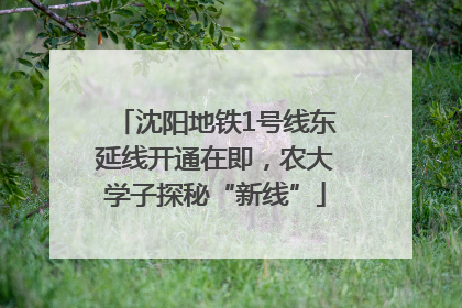 沈阳地铁1号线东延线开通在即，农大学子探秘“新线”