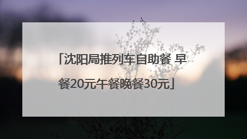 沈阳局推列车自助餐 早餐20元午餐晚餐30元