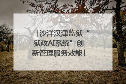 沙洋汉津监狱“狱政AI系统”创新管理服务效能