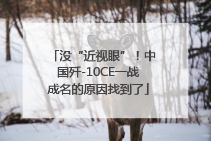 没“近视眼”！中国歼-10CE一战成名的原因找到了