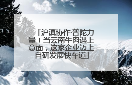 沪滇协作·普陀力量〡当云南牛肉遇上意面，这家企业迈上自研发展快车道