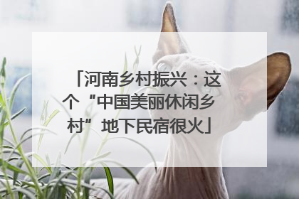 河南乡村振兴：这个“中国美丽休闲乡村”地下民宿很火