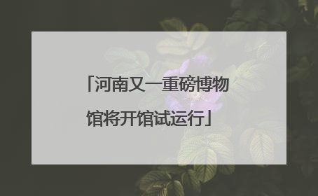 河南又一重磅博物馆将开馆试运行