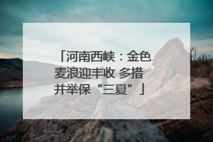 河南西峡：金色麦浪迎丰收 多措并举保“三夏”
