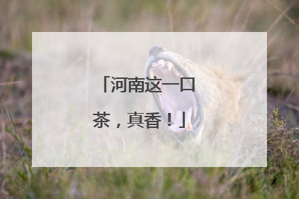 河南这一口茶，真香！