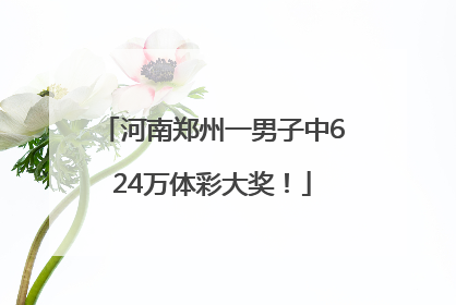 河南郑州一男子中624万体彩大奖！