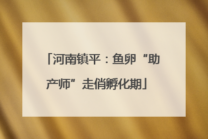 河南镇平：鱼卵“助产师”走俏孵化期