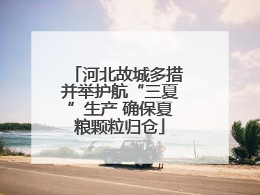 河北故城多措并举护航“三夏”生产 确保夏粮颗粒归仓