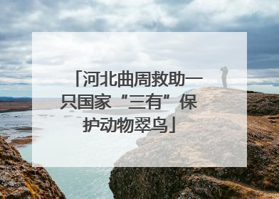 河北曲周救助一只国家“三有”保护动物翠鸟