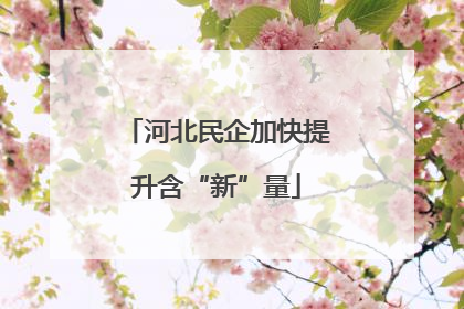 河北民企加快提升含“新”量