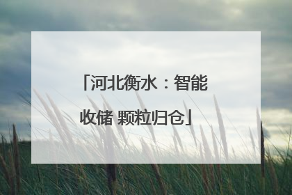 河北衡水：智能收储 颗粒归仓