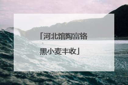 河北馆陶富铬黑小麦丰收