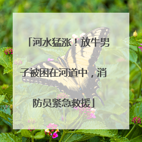 河水猛涨！放牛男子被困在河道中，消防员紧急救援