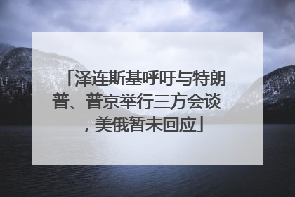 泽连斯基呼吁与特朗普、普京举行三方会谈，美俄暂未回应