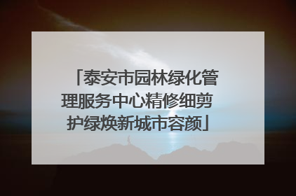 泰安市园林绿化管理服务中心精修细剪护绿焕新城市容颜