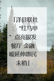 洋县联社：“红马甲”点亮银发餐厅 金融暖延伸惠民末梢