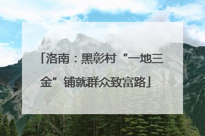 洛南：黑彰村“一地三金”铺就群众致富路