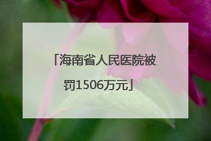 海南省人民医院被罚1506万元