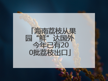 海南荔枝从果园“鲜”达国外 今年已有200批荔枝出口