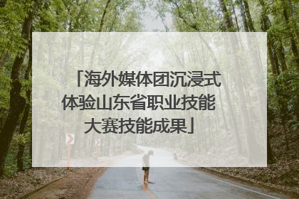 海外媒体团沉浸式体验山东省职业技能大赛技能成果
