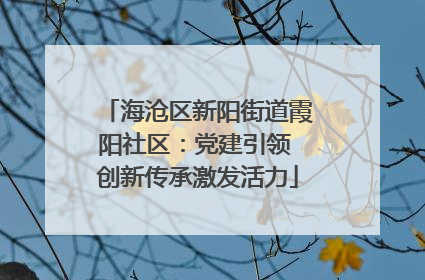 海沧区新阳街道霞阳社区：党建引领 创新传承激发活力