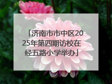 济南市市中区2025年第四期访校在经五路小学举办