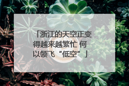 浙江的天空正变得越来越繁忙 何以领飞“低空”