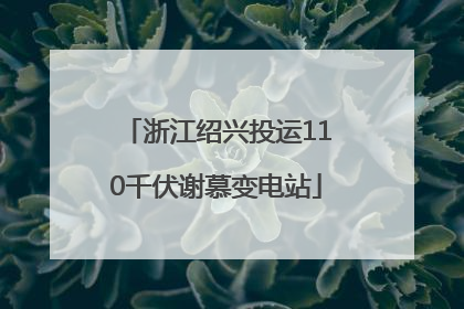 浙江绍兴投运110千伏谢慕变电站