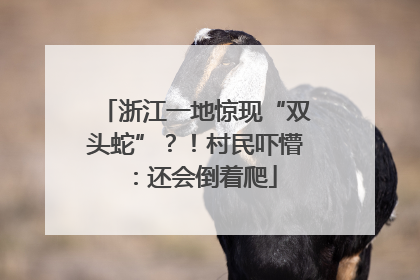浙江一地惊现“双头蛇”？！村民吓懵：还会倒着爬