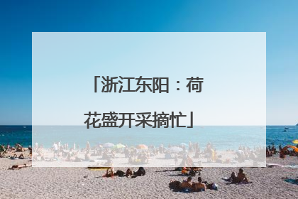 浙江东阳：荷花盛开采摘忙