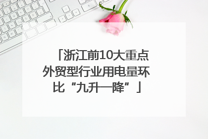 浙江前10大重点外贸型行业用电量环比“九升一降”