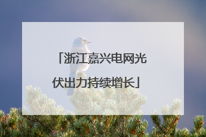浙江嘉兴电网光伏出力持续增长