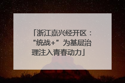浙江嘉兴经开区：“统战+”为基层治理注入青春动力