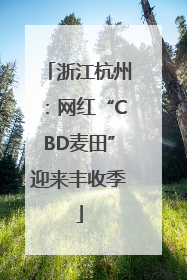 浙江杭州：网红“CBD麦田”迎来丰收季