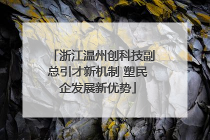 浙江温州创科技副总引才新机制 塑民企发展新优势