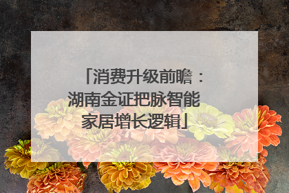 消费升级前瞻：湖南金证把脉智能家居增长逻辑
